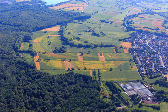 Vue aérienne de Traces de dégâts causés par la sécheresse dans les champs de Bienwald à Hagenbach dans le département Rhénanie-Palatinat, Allemagne