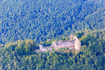 Vue aérienne de Ruines du château de Neuscharfeneck à Flemlingen dans le département Rhénanie-Palatinat, Allemagne