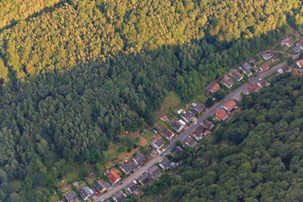 Vue aérienne de Schulstr à Rinnthal dans le département Rhénanie-Palatinat, Allemagne