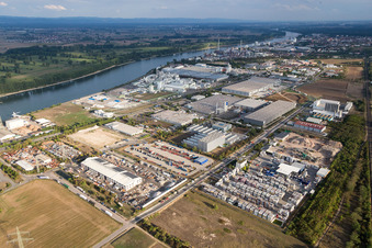 Vue aérienne de Installations techniques dans la zone industrielle d'Im Langgewann au bord du Rhin à Worms dans le département Rhénanie-Palatinat, Allemagne