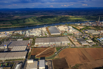Vue aérienne de Zone industrielle au nord du Rhin avec ROWE Mineralölwerk GmbH à Worms dans le département Rhénanie-Palatinat, Allemagne