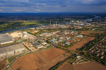 Vue aérienne de Zone industrielle au nord du Rhin avec Procter & Gamble à Worms dans le département Rhénanie-Palatinat, Allemagne