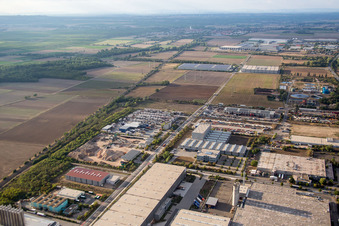 Vue aérienne de Installations de raffinage et systèmes de pipelines sur le site du producteur d'huile minérale ROWE Mineralölwerk GmbH à Worms dans le département Rhénanie-Palatinat, Allemagne
