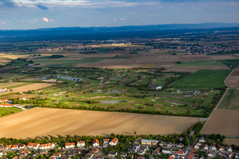 Vue d'oiseau de Terrain de golf Golfpark Biblis-Wattenheim *****GOLF absolu à Wattenheim à le quartier Nordheim in Biblis dans le département Hesse, Allemagne