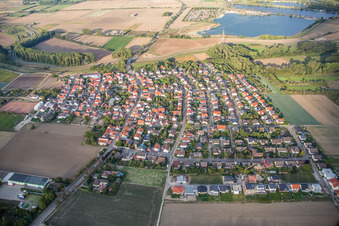 Vue aérienne de Quartier Wattenheim in Biblis dans le département Hesse, Allemagne