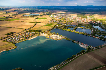 Vue aérienne de Club de voile Biblis eV à Riedsee à Biblis dans le département Hesse, Allemagne