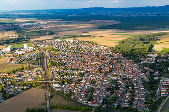 Photographie aérienne de Vue des rues et des maisons dans les quartiers résidentiels à Biblis dans le département Hesse, Allemagne