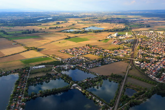 Vue aérienne de Centre de loisirs au bord du lac avec Riedsee, lac Wadowski et Charlysee à Biblis dans le département Hesse, Allemagne