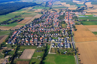 Vue aérienne de Vue du village depuis l'est à Minfeld dans le département Rhénanie-Palatinat, Allemagne