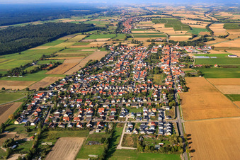 Photographie aérienne de Vue du village depuis l'est à Minfeld dans le département Rhénanie-Palatinat, Allemagne