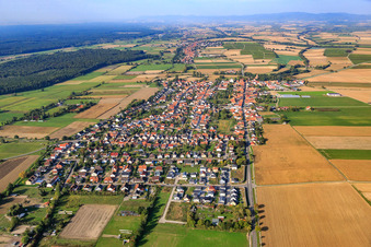 Vue oblique de Vue du village depuis l'est à Minfeld dans le département Rhénanie-Palatinat, Allemagne