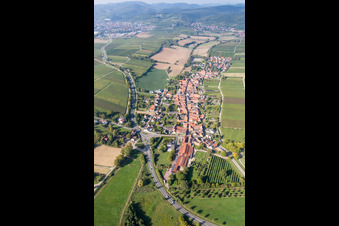 Vue aérienne de Champs agricoles et terres agricoles à Niederhorbach dans le département Rhénanie-Palatinat, Allemagne