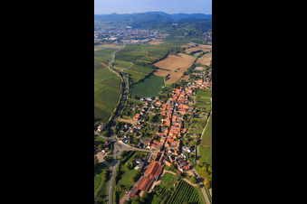 Vue aérienne de Vue du village depuis l'est à Niederhorbach dans le département Rhénanie-Palatinat, Allemagne
