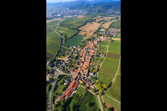 Vue aérienne de Vue du village depuis l'est à Niederhorbach dans le département Rhénanie-Palatinat, Allemagne