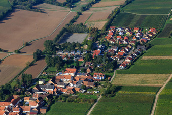Vue aérienne de Dans le jardin des moutons à Niederhorbach dans le département Rhénanie-Palatinat, Allemagne