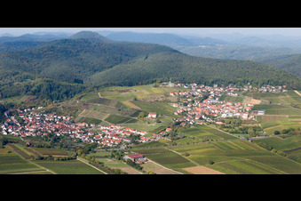 Vue aérienne de Vignobles et forêt à le quartier Gleiszellen in Gleiszellen-Gleishorbach dans le département Rhénanie-Palatinat, Allemagne
