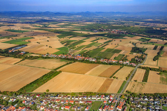 Vue aérienne de Vue d'ensemble du village depuis le sud à Vollmersweiler dans le département Rhénanie-Palatinat, Allemagne