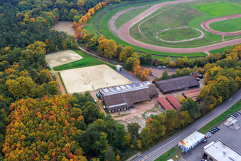 Photographie aérienne de Club de course et d'équitation Herxheim eV à Herxheim bei Landau dans le département Rhénanie-Palatinat, Allemagne