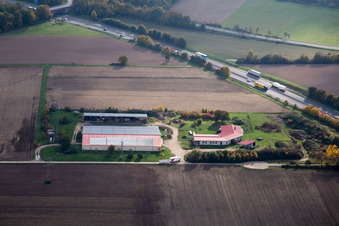 Vue aérienne de Ferme d'œufs à Erlenbach bei Kandel dans le département Rhénanie-Palatinat, Allemagne
