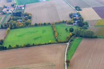 Vue oblique de Paddock de Trakehner-Friedrich à Minfeld dans le département Rhénanie-Palatinat, Allemagne