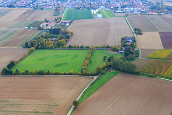 Paddock de Trakehner-Friedrich à Minfeld dans le département Rhénanie-Palatinat, Allemagne d'en haut