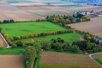 Paddock de Trakehner-Friedrich à Minfeld dans le département Rhénanie-Palatinat, Allemagne depuis l'avion