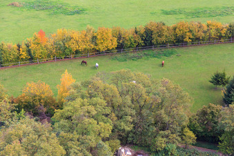 Vue d'oiseau de Paddock de Trakehner-Friedrich à Minfeld dans le département Rhénanie-Palatinat, Allemagne