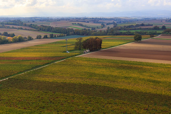 Vue aérienne de Fontaine à eau et antenne de téléphonie mobile sur le sentier élevé à Minfeld dans le département Rhénanie-Palatinat, Allemagne
