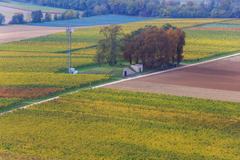Vue aérienne de Fontaine à eau et antenne de téléphonie mobile sur le sentier élevé à Minfeld dans le département Rhénanie-Palatinat, Allemagne