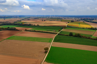 Vue aérienne de Aérodrome de Freckenfeld à Freckenfeld dans le département Rhénanie-Palatinat, Allemagne
