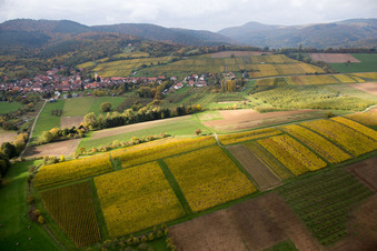 Rott dans le département Bas Rhin, France d'en haut