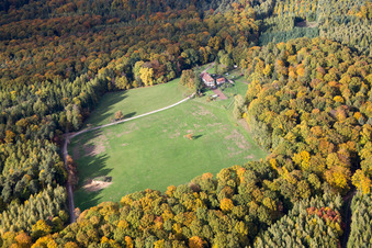 Vue aérienne de Nehwiller-près-Wœrth dans le département Bas Rhin, France