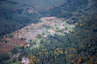 Dambach dans le département Bas Rhin, France depuis l'avion