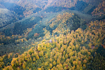 Photographie aérienne de Dambach dans le département Bas Rhin, France