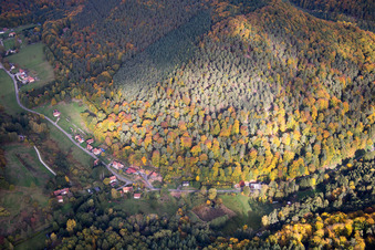 Dambach dans le département Bas Rhin, France depuis l'avion