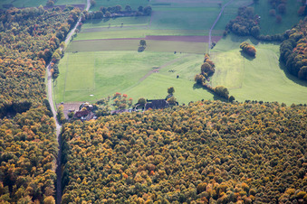 Nehwiller-près-Wœrth dans le département Bas Rhin, France hors des airs