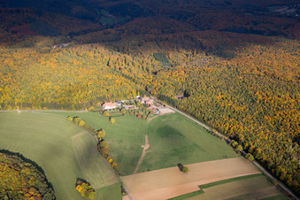 Vue aérienne de Villa le Riessack à Niederbronn-les-Bains dans le département Bas Rhin, France