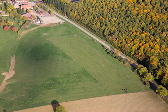 Photographie aérienne de Villa le Riessack à Niederbronn-les-Bains dans le département Bas Rhin, France