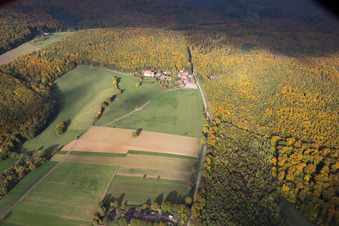 Vue oblique de Villa le Riessack à Niederbronn-les-Bains dans le département Bas Rhin, France