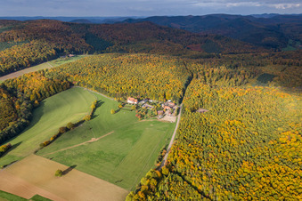 Vue aérienne de Bâtiments et parcs du manoir Chambres d'Hôtes Villa le Riesack et de la ferme Ferme Mellon à la lisière de la forêt automnale à Niederbronn-les-Bains dans le département Bas Rhin, France