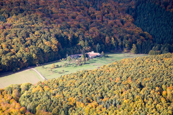 Vue aérienne de Ferme Riessack à Niederbronn-les-Bains dans le département Bas Rhin, France