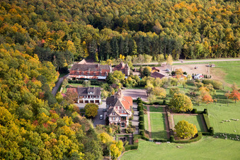 Photographie aérienne de Centre rencontre Albert Schweitzer à Niederbronn-les-Bains dans le département Bas Rhin, France