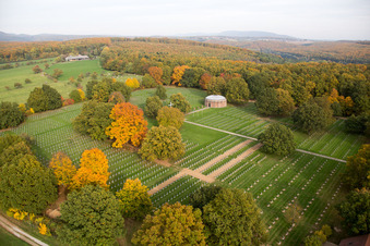 Vue aérienne de Centre de réunion Albert Schweitzer du cimetière de guerre à Niederbronn-les-Bains dans le département Bas Rhin, France