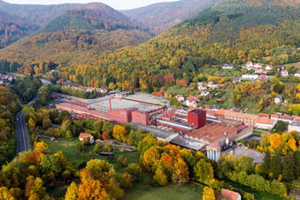 Vue aérienne de Locaux de l'usine de la Fonderie NIEDERBRONN à Niederbronn-les-Bains dans le département Bas Rhin, France