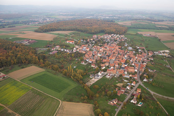 Vue aérienne de Champs agricoles et terres agricoles à Engwiller dans le département Bas Rhin, France