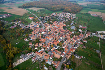 Vue aérienne de Champs agricoles et terres agricoles à Engwiller dans le département Bas Rhin, France