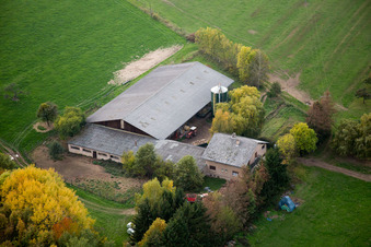 Niederbronn-les-Bains dans le département Bas Rhin, France depuis l'avion
