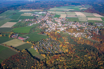 Vue oblique de Quartier Vielbrunn in Michelstadt dans le département Hesse, Allemagne