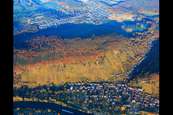 Vue aérienne de Vignoble Klingenberger dans les gorges de Seltenbach dans les feuilles d'automne le soir à Klingenberg am Main dans le département Bavière, Allemagne