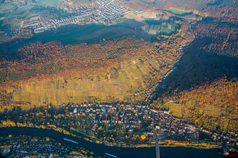 Vue aérienne de Paysage de vignoble automnal sur Klingenberg am Main à Klingenberg am Main dans le département Bavière, Allemagne